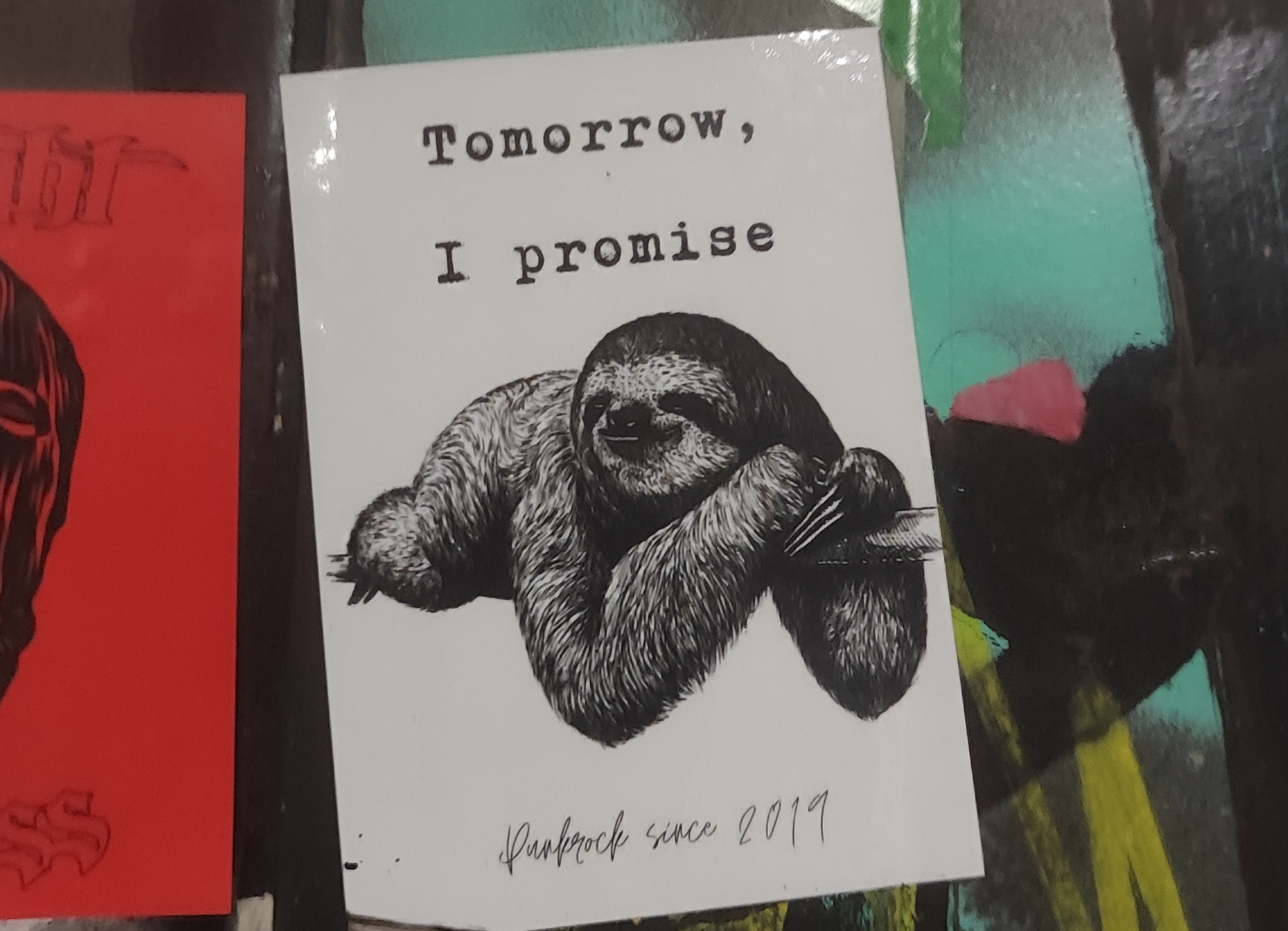 Hanging sloth living its best life